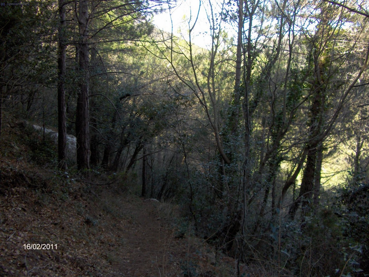 El PR, buen sendero, a descansar un poco los pies.