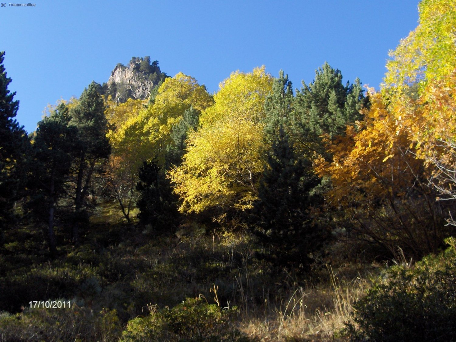 La tardor.