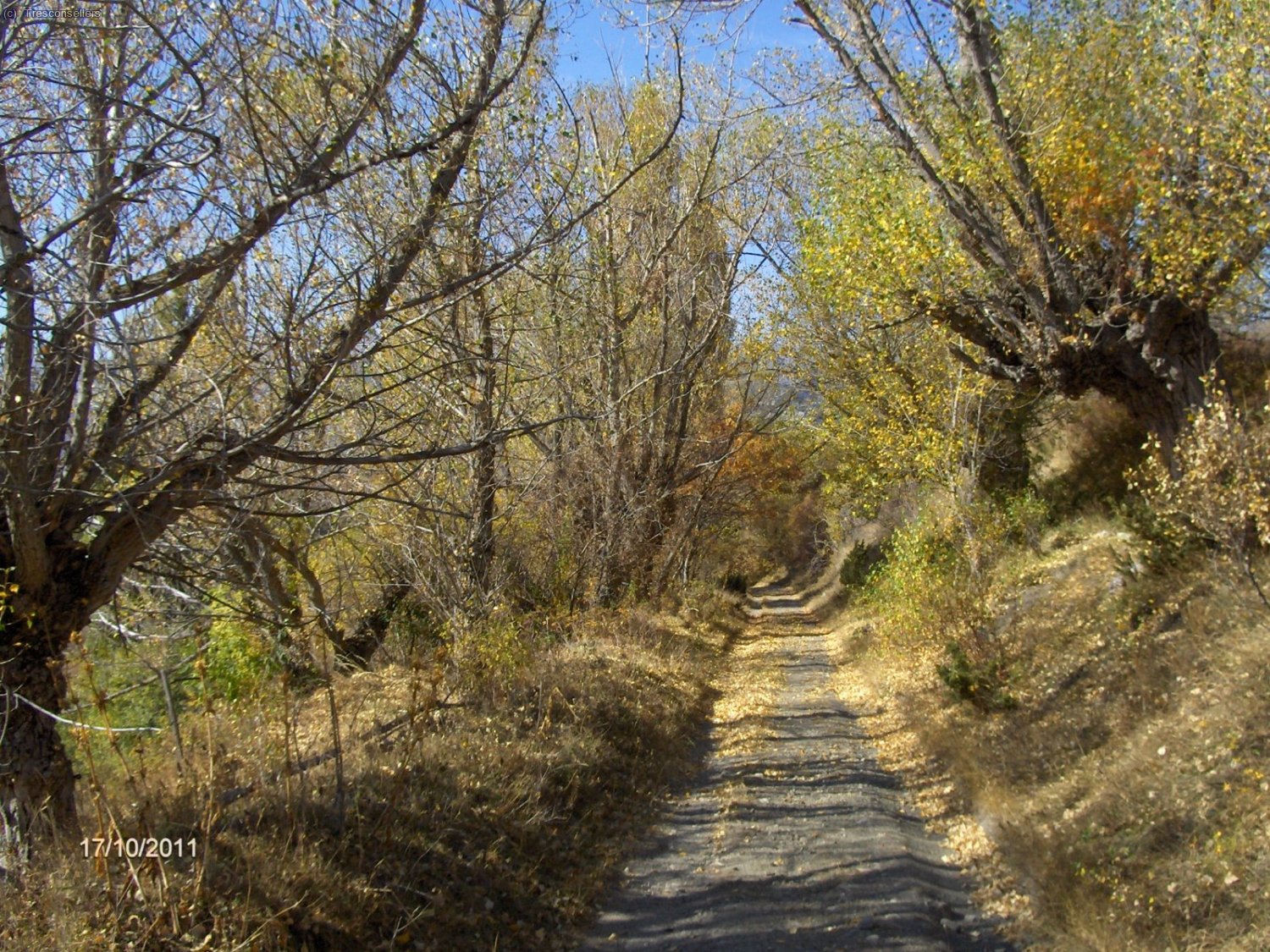 El cam&iacute; de bast que em porta al poble d