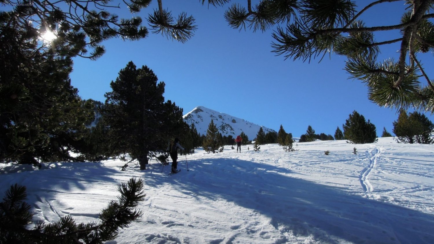 Sortin de la coma podem veure per primer cop el cim de la Salana.