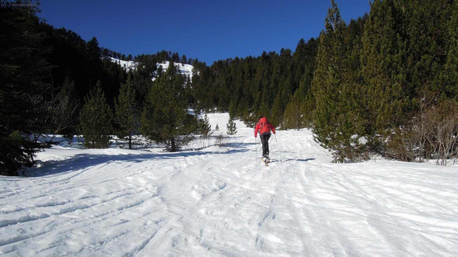 Remuntan la Coma de Montaner.
