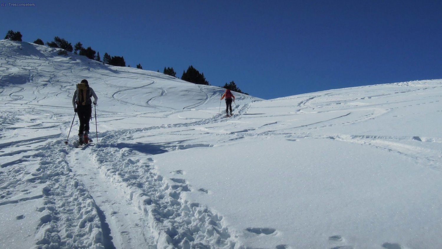 Tra&ccedil;a oberta en l