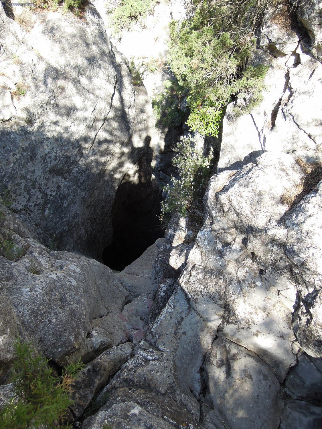 El salt del Tort&oacute;.
