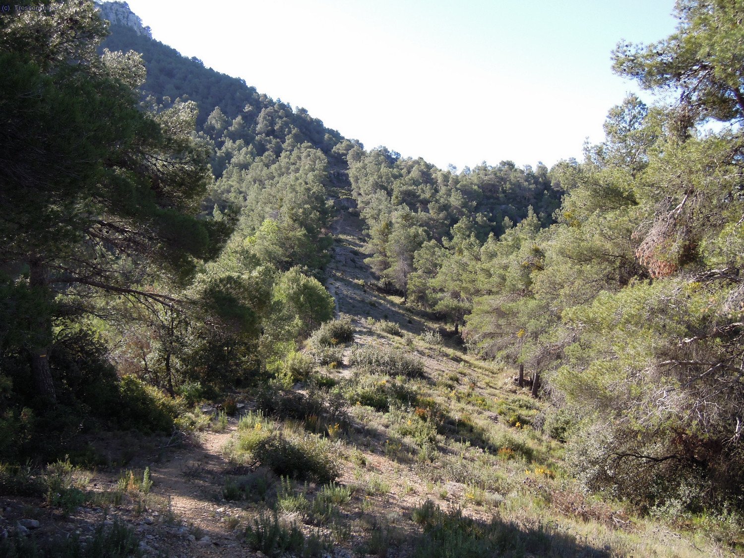 Inici del sender&oacute; que em dur&agrave; al Pas del Forat.