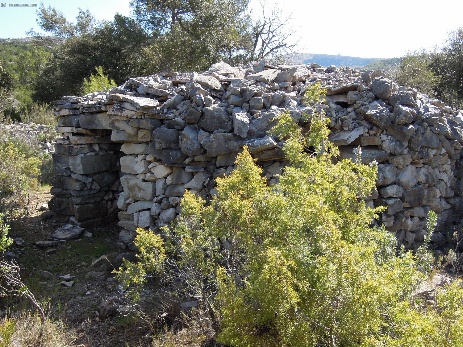 Aqu&iacute; tamb&eacute; hi trobem barraques, aquesta &eacute;s la de la Font de la Plana.
