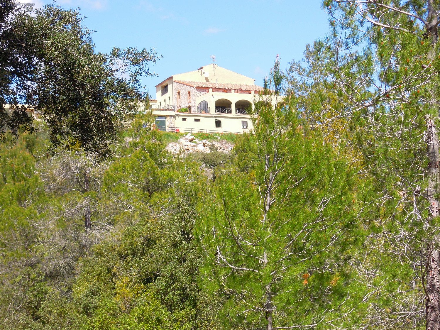 Un restaurat i ampliat Mas del Collet, ara &eacute;s un hotel-restaurant, a m&eacute;s de celler. De celler en aquesta zona n