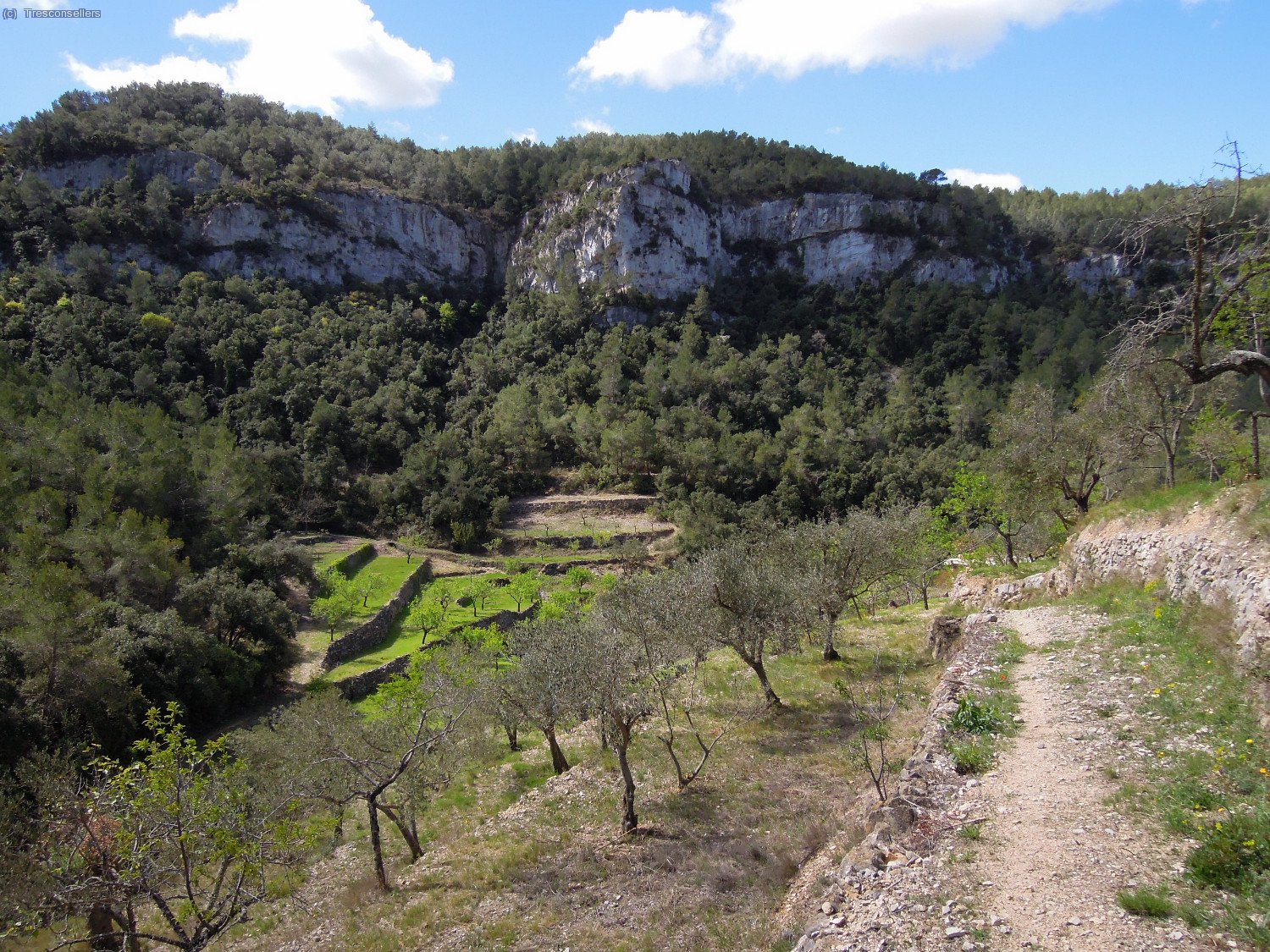 Arribo al Mas del Remer amb els seus conreus, encara treballats.
