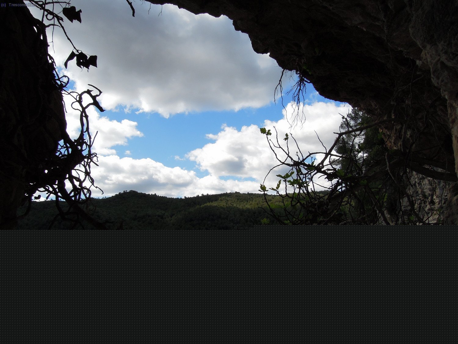 Des del seu interior.
