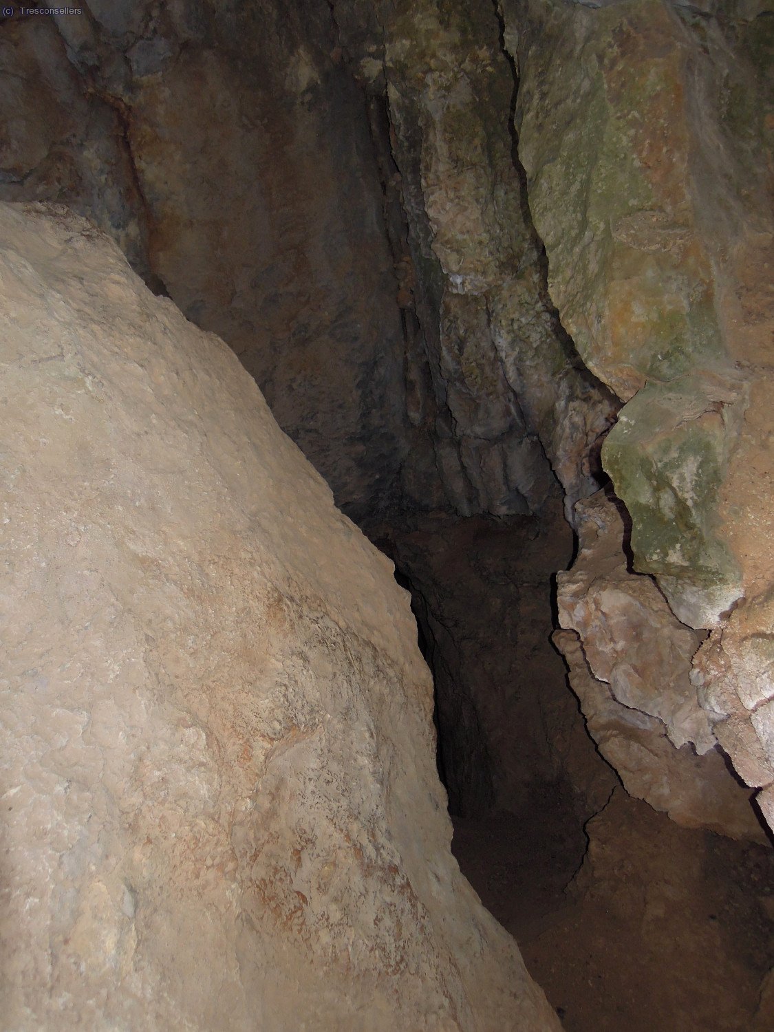 En el descens pel cam&iacute; recuperat de Tivissa trobem la Cova del Remer.
