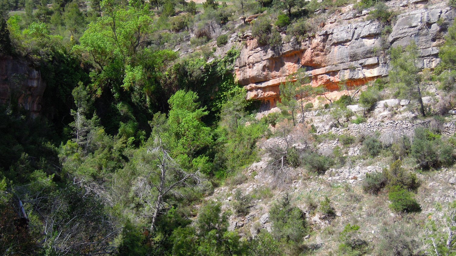 El Rac&oacute; Sendal.
