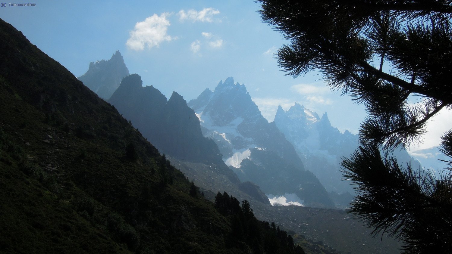 Aprop de la Signal de Forbes (cota 2200m.) vistes cap al darrera (Aiguilles du Midi, Grep&oacute;n...)