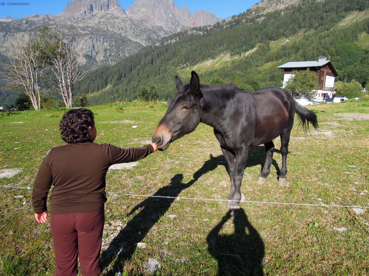 Arribant a Le Tour la nena troba un dels seus amics preferits, els cavalls.