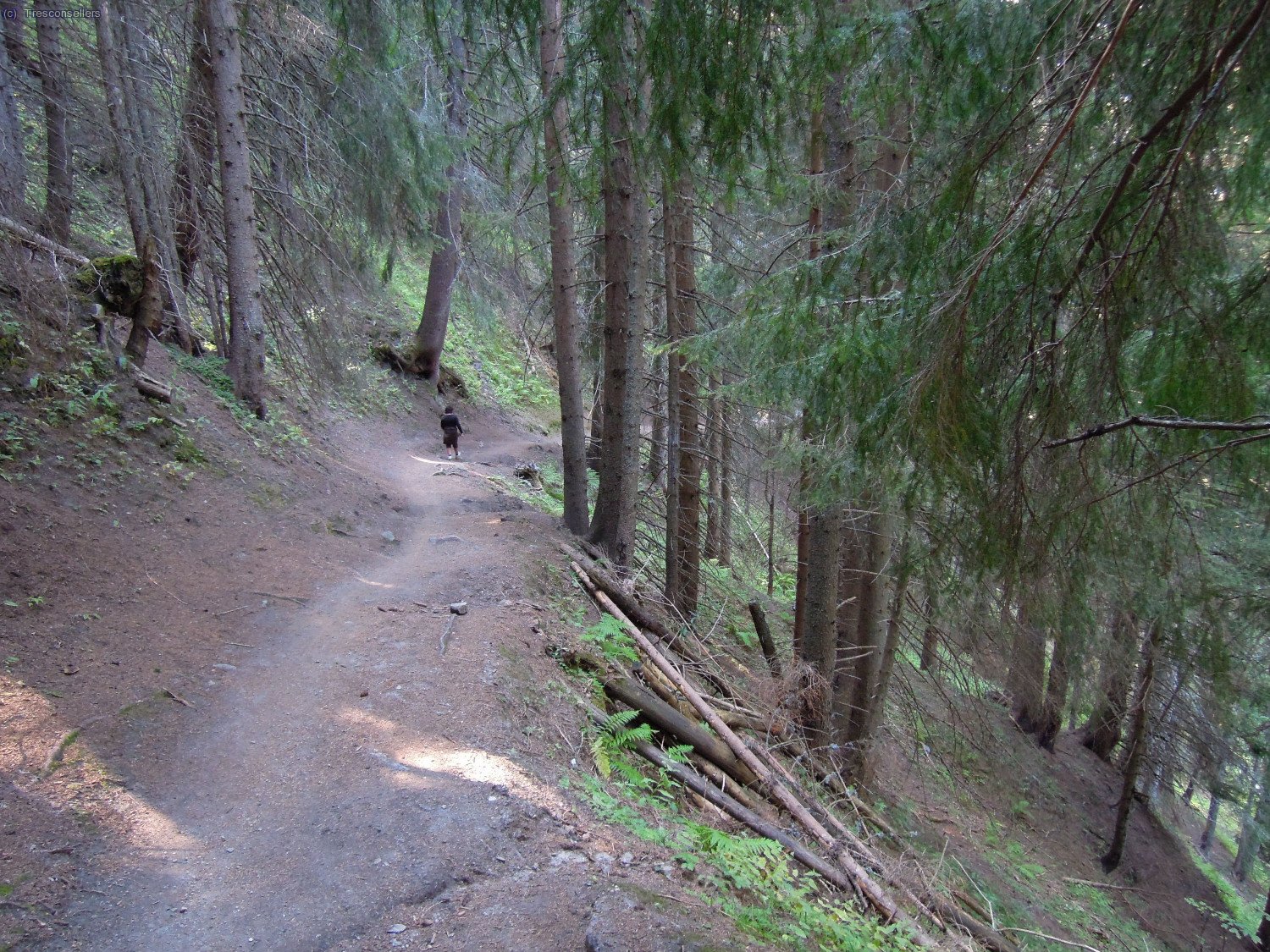 Descens cap a Argenti&egrave;re per un cam&iacute; sense entrebancs.