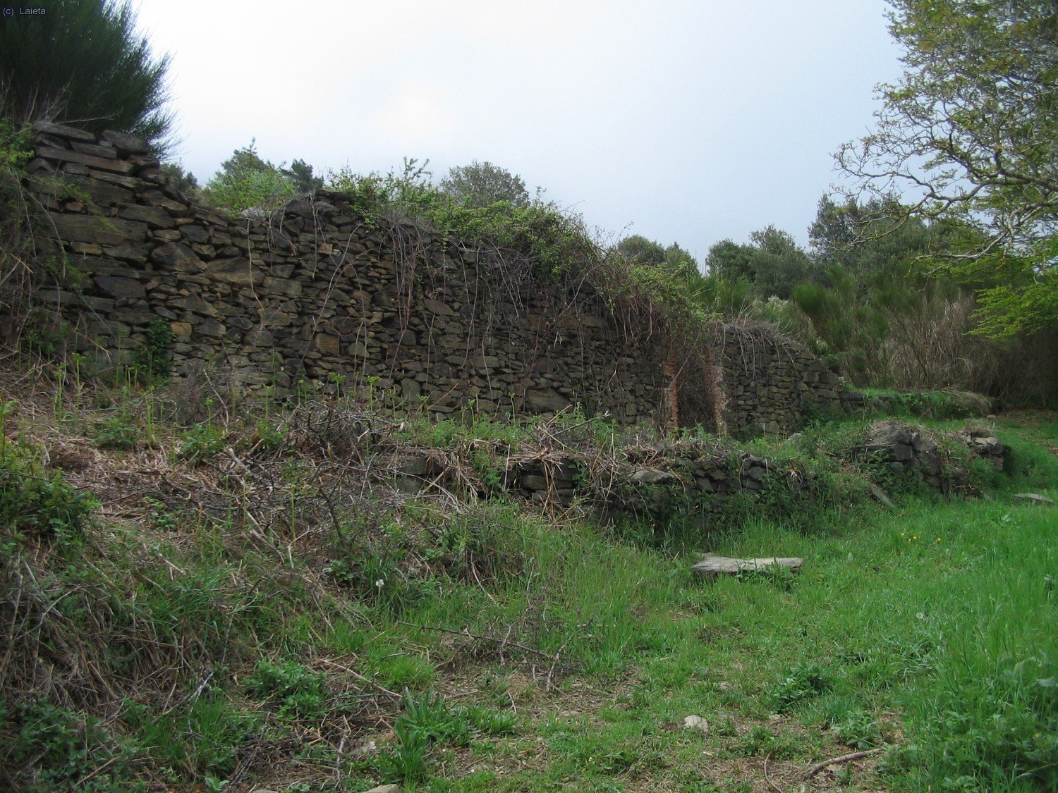 Corral d