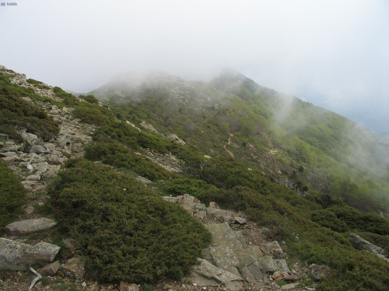 deixem a la dreta el GR5.2 i per la carena anem cap al Puig Sacarbassa