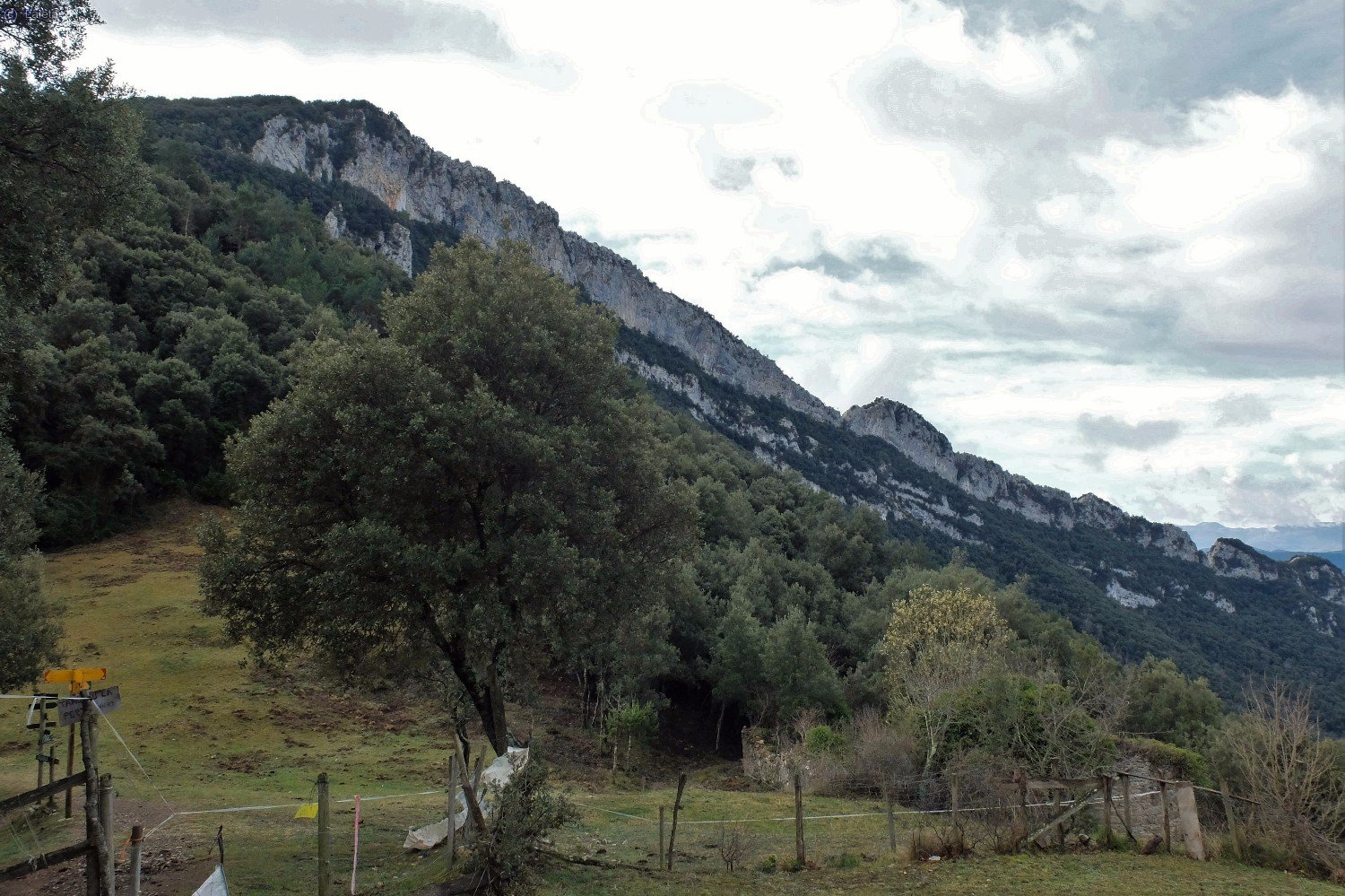 Ferran i la seva cresta