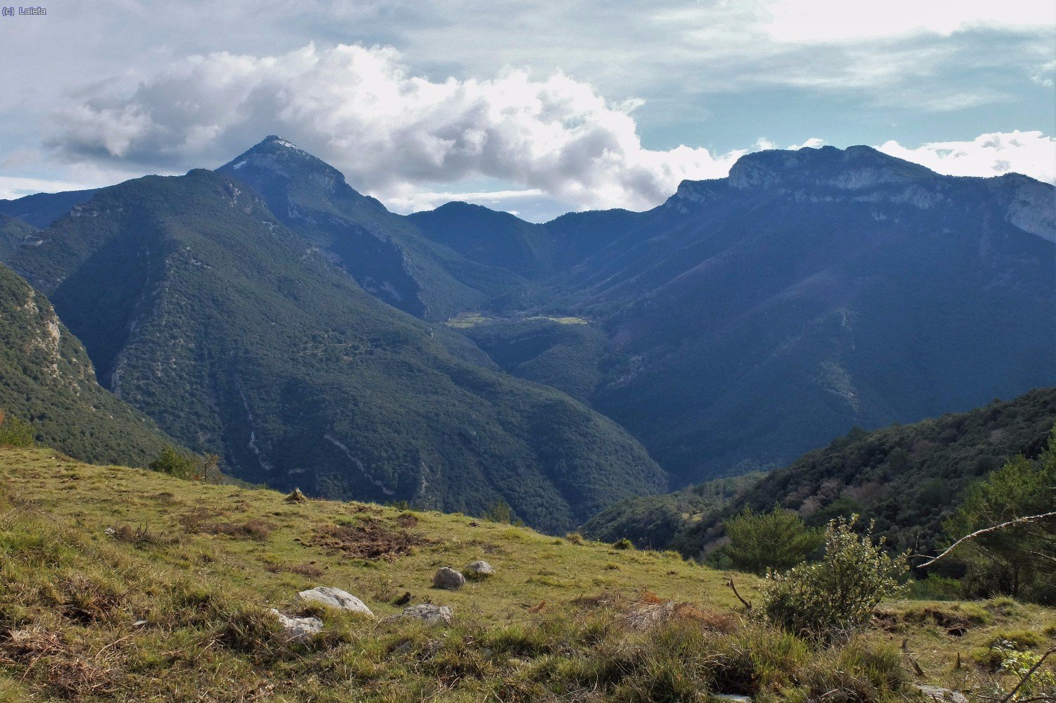 Martany&agrave;, Bassegoda i Cingles de Guitarriu