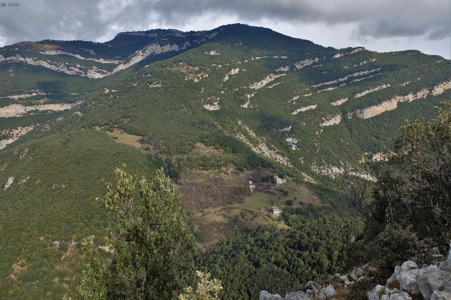 Talaix&agrave; a vol d