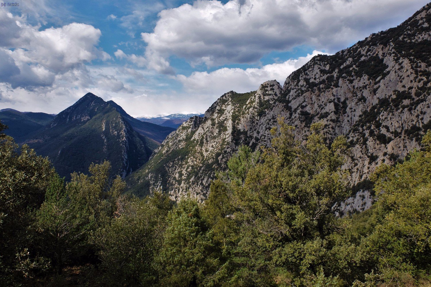 Cresta de Ferran, grau d