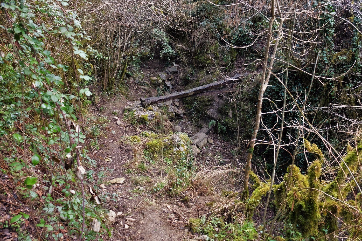 cam&iacute; e la Font