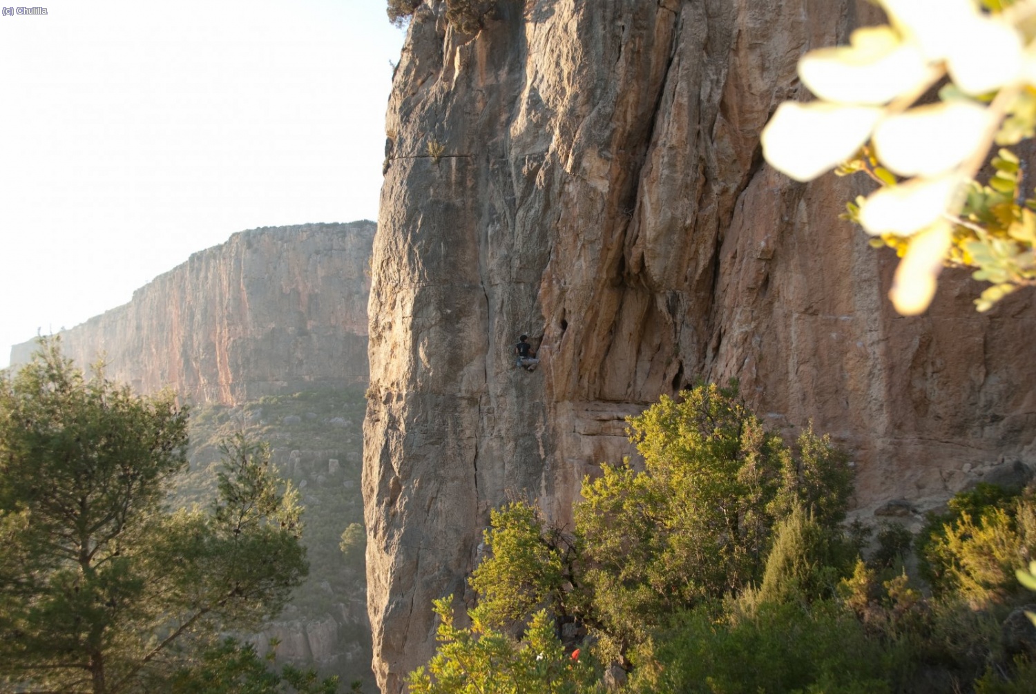 sector la ceguera
v&iacute;a: le maximun agarr