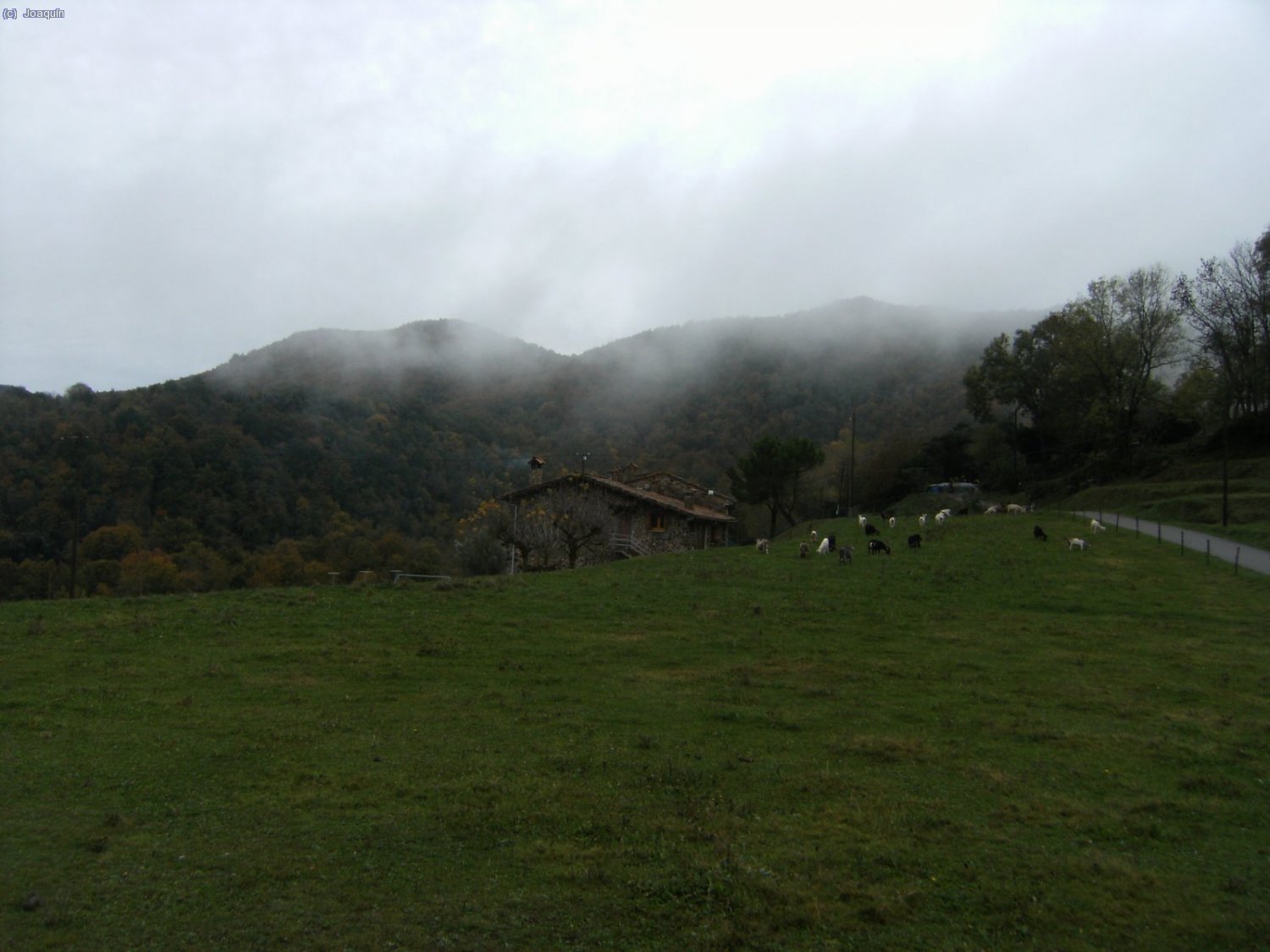 Cerca de Sant Miquel de Sacot.