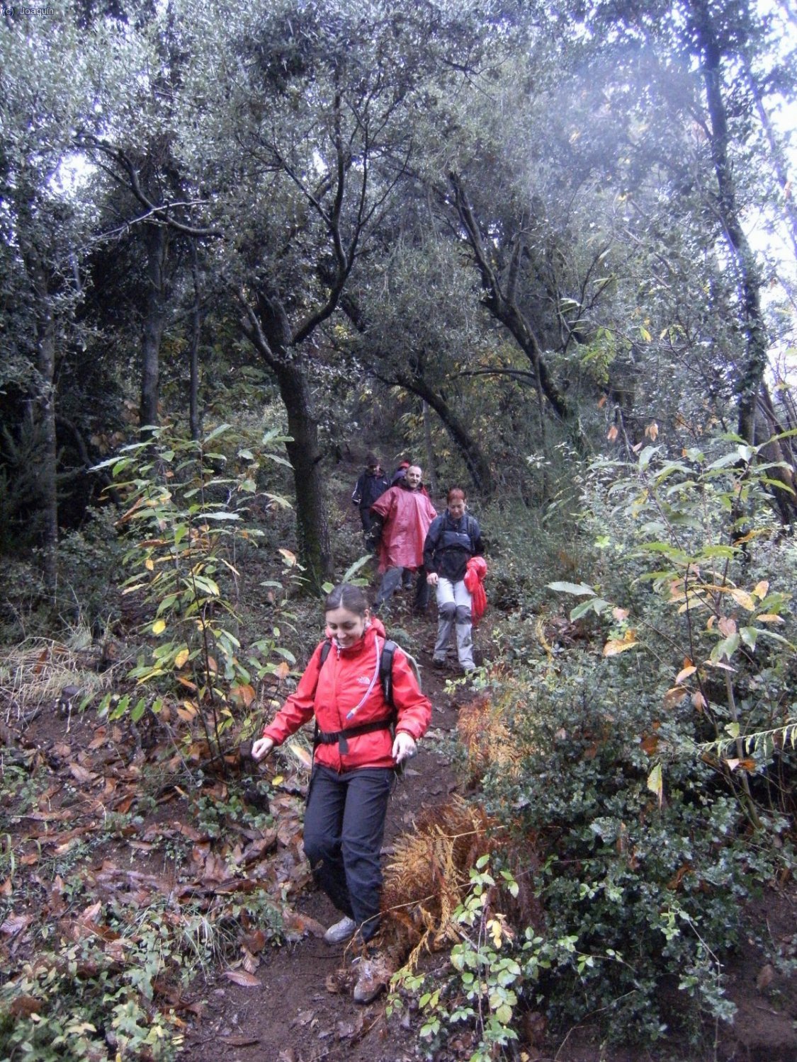 Bajando de la cima del Volc&aacute;n El Croscat