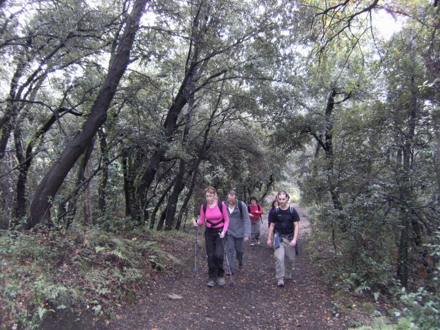 Subiendo al Volc&aacute;n de Santa Margarida