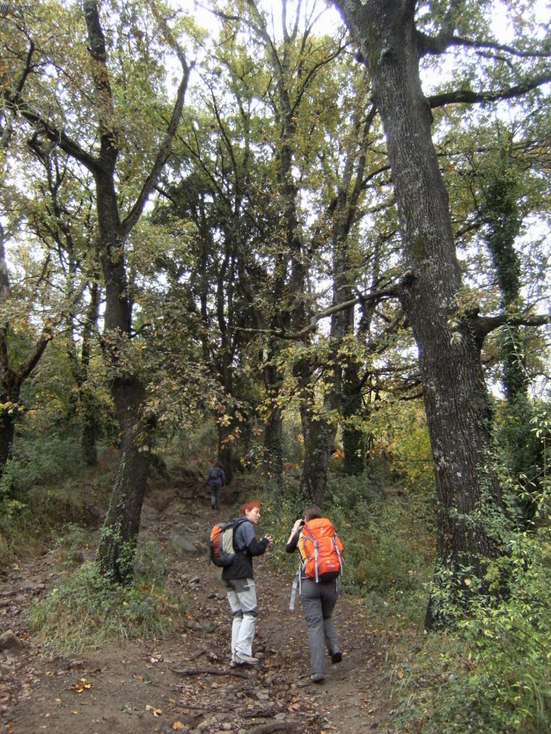 Subiendo al Volc&aacute;n de Santa Margarida