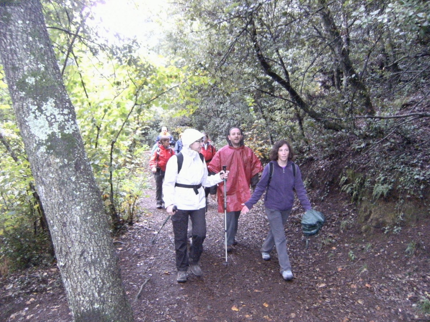 Subiendo al Volc&aacute;n El Croscat