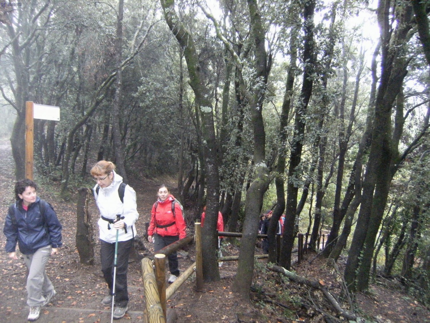 Arriba del cr&aacute;ter y al otro extremo de la subida.