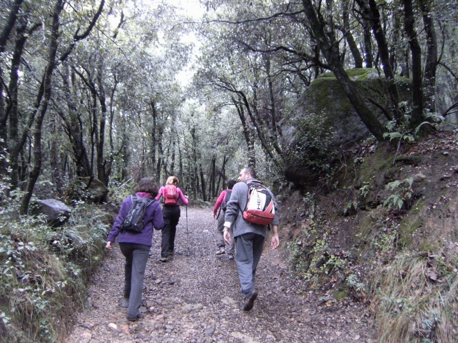 Subiendo al Volc&aacute;n de Santa Margarida