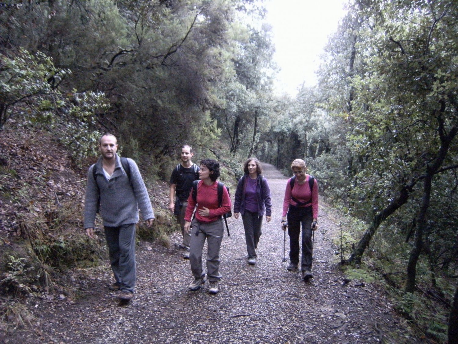 Subiendo al Volc&aacute;n de Santa Margarida