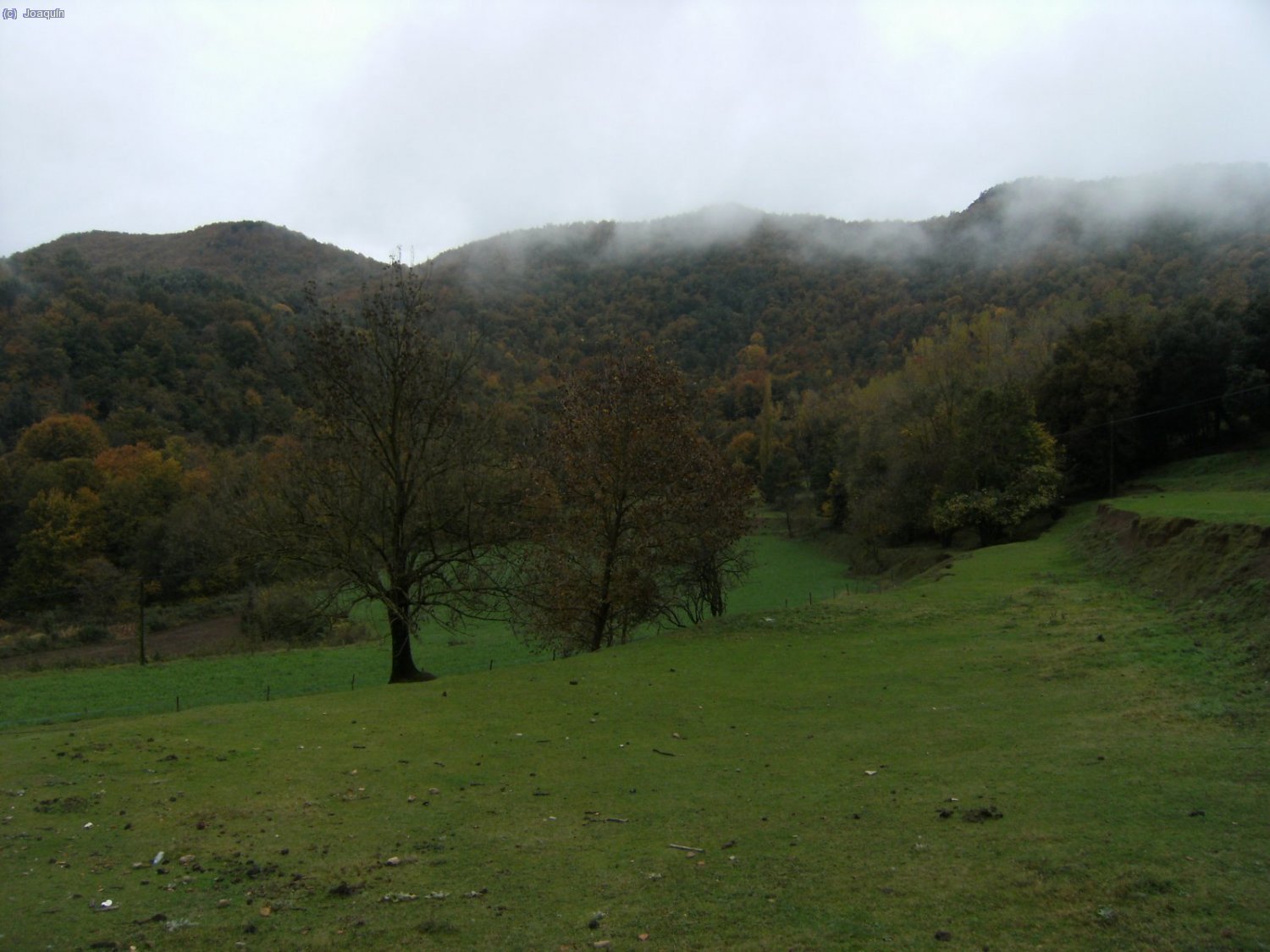 Alrededores de Sant Miquel de Sacot.