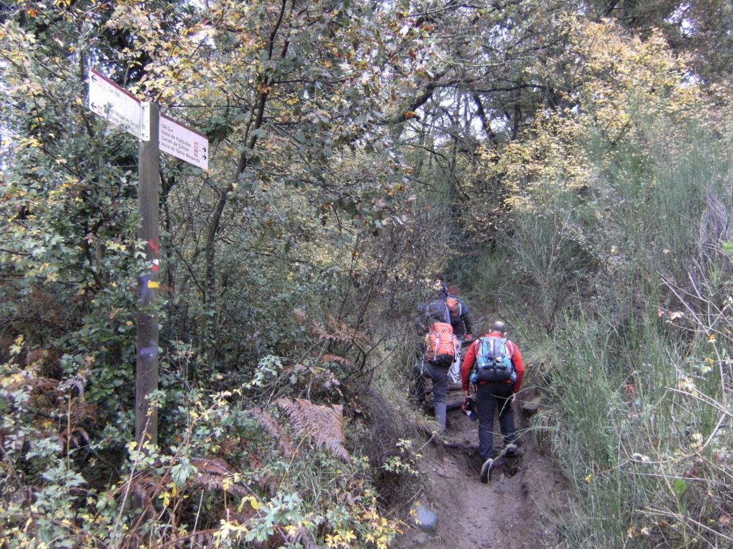 Subiendo al Volc&aacute;n de Santa Margarida. Indicado en los carteles.