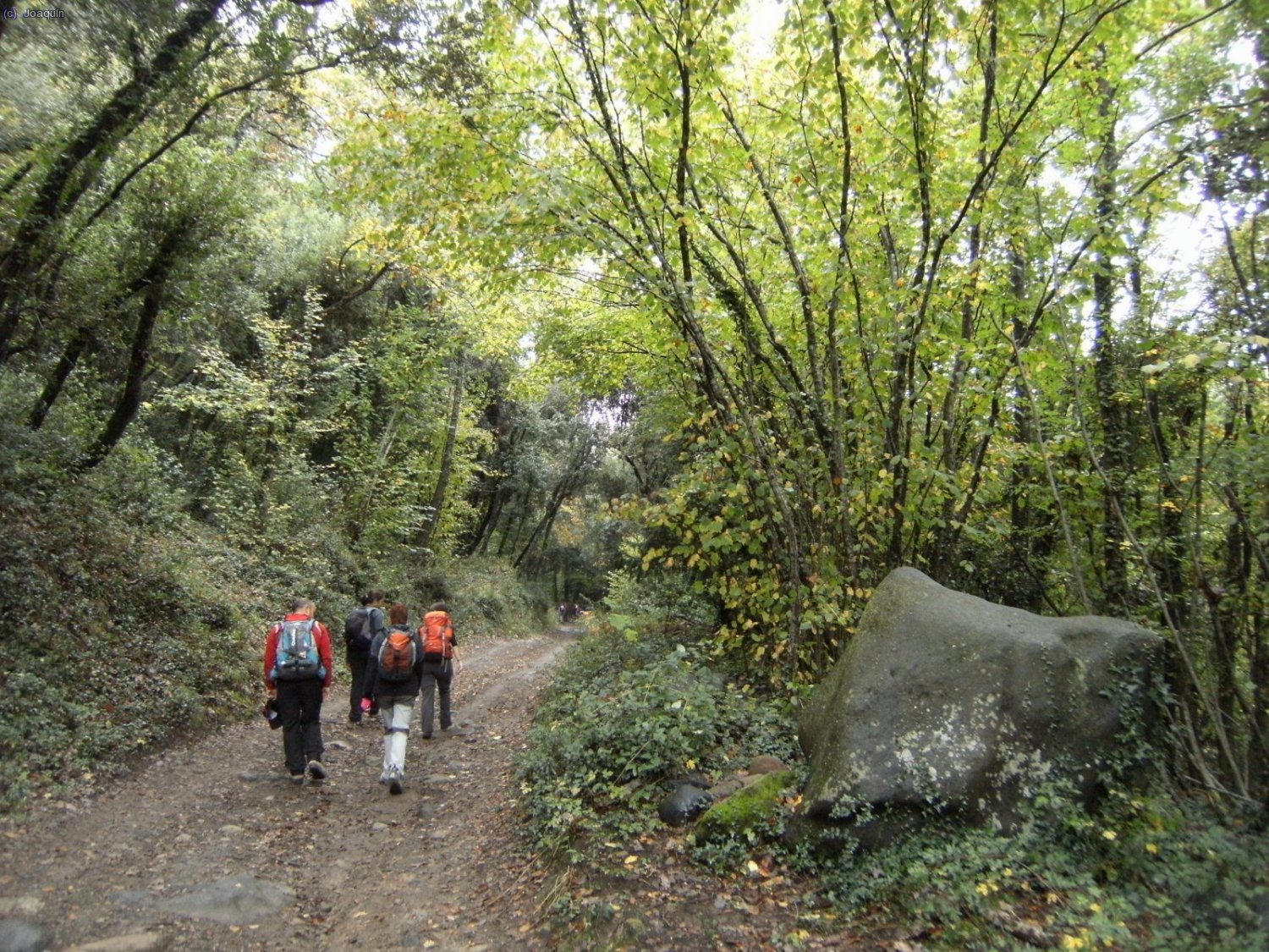 A la derecha del camino, una roca (bomba) volc&aacute;nica.