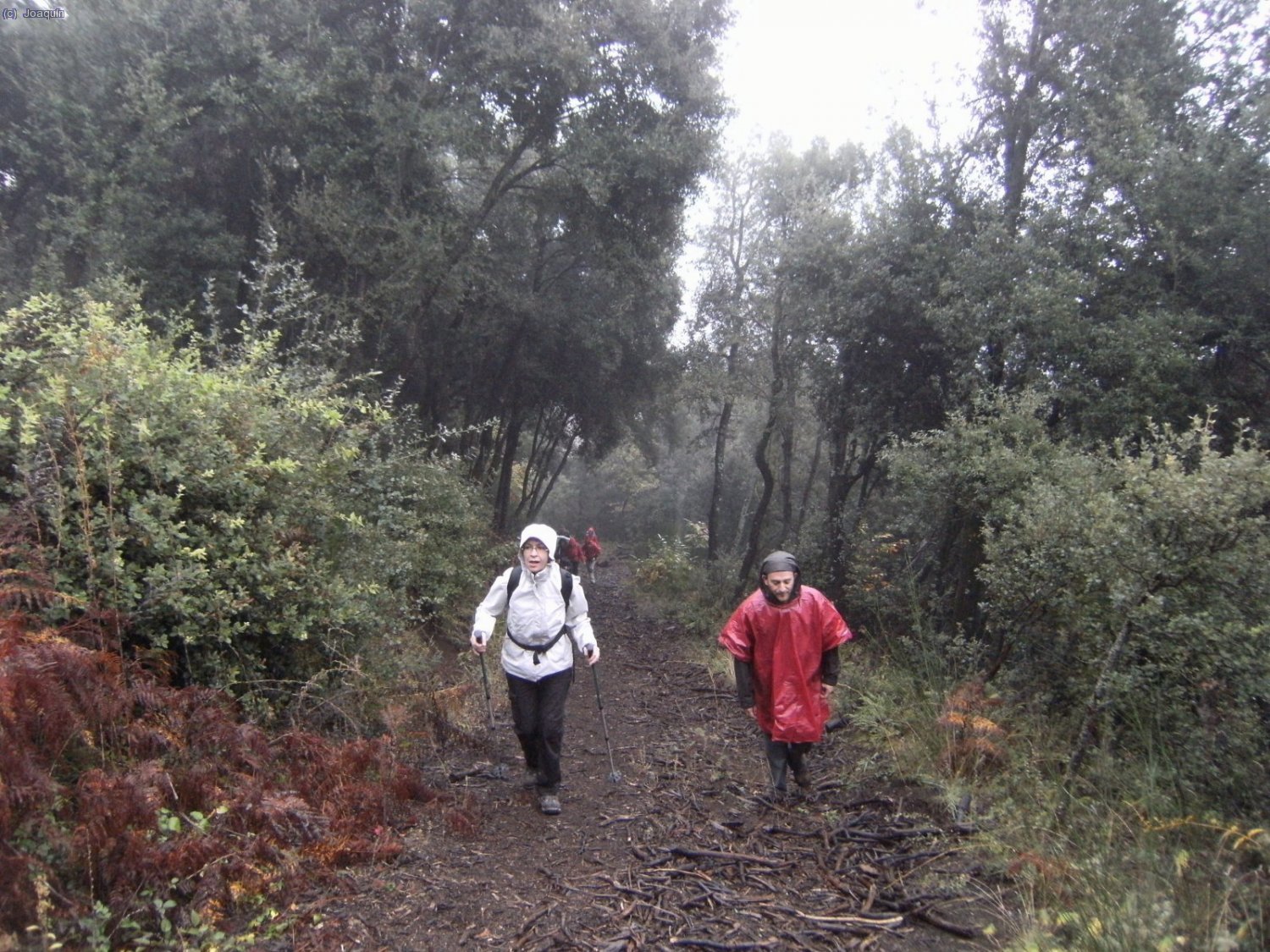 Subiendo al Volc&aacute;n El Croscat