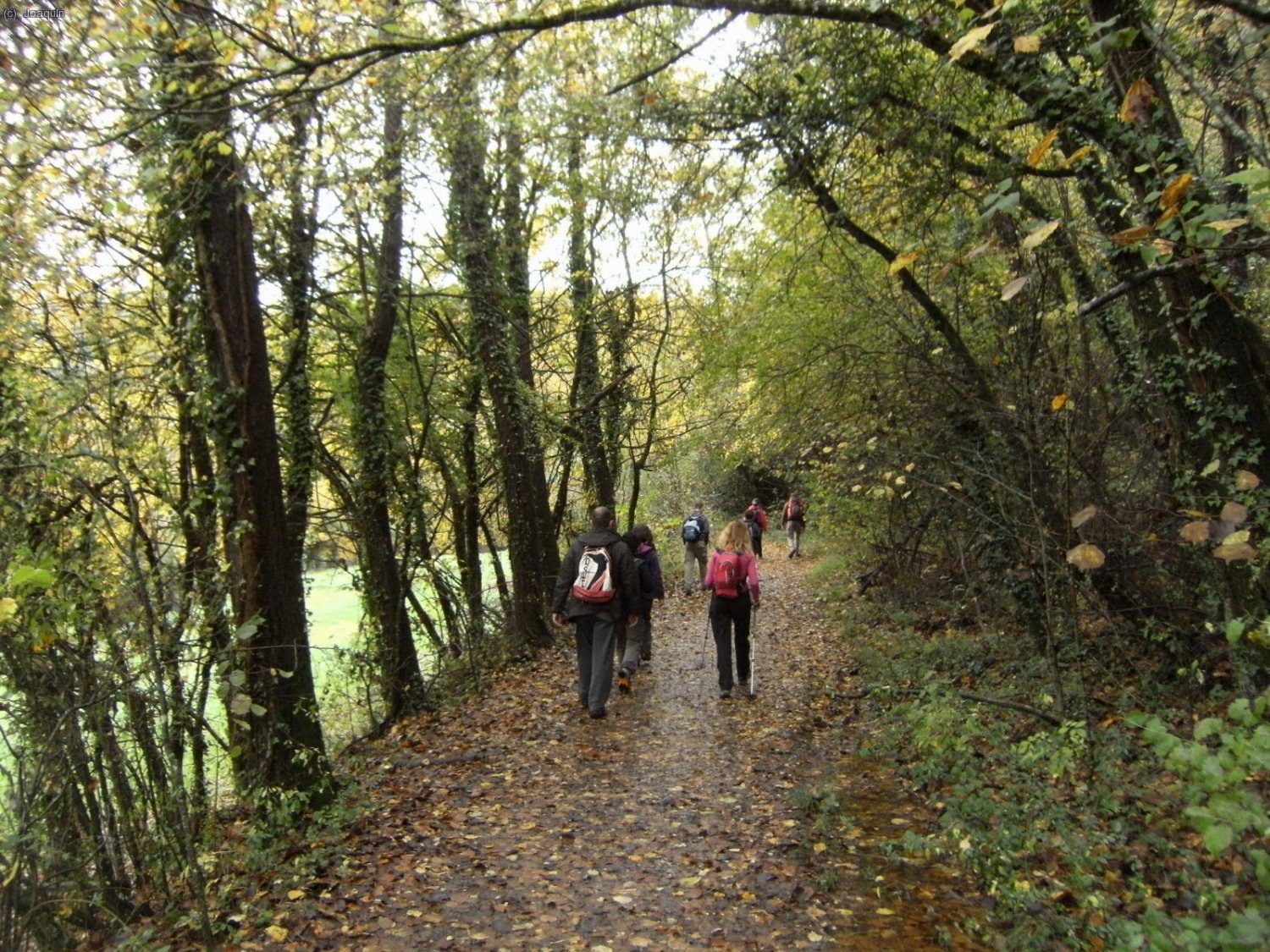 Camino de Sant Miquel de Sacot.