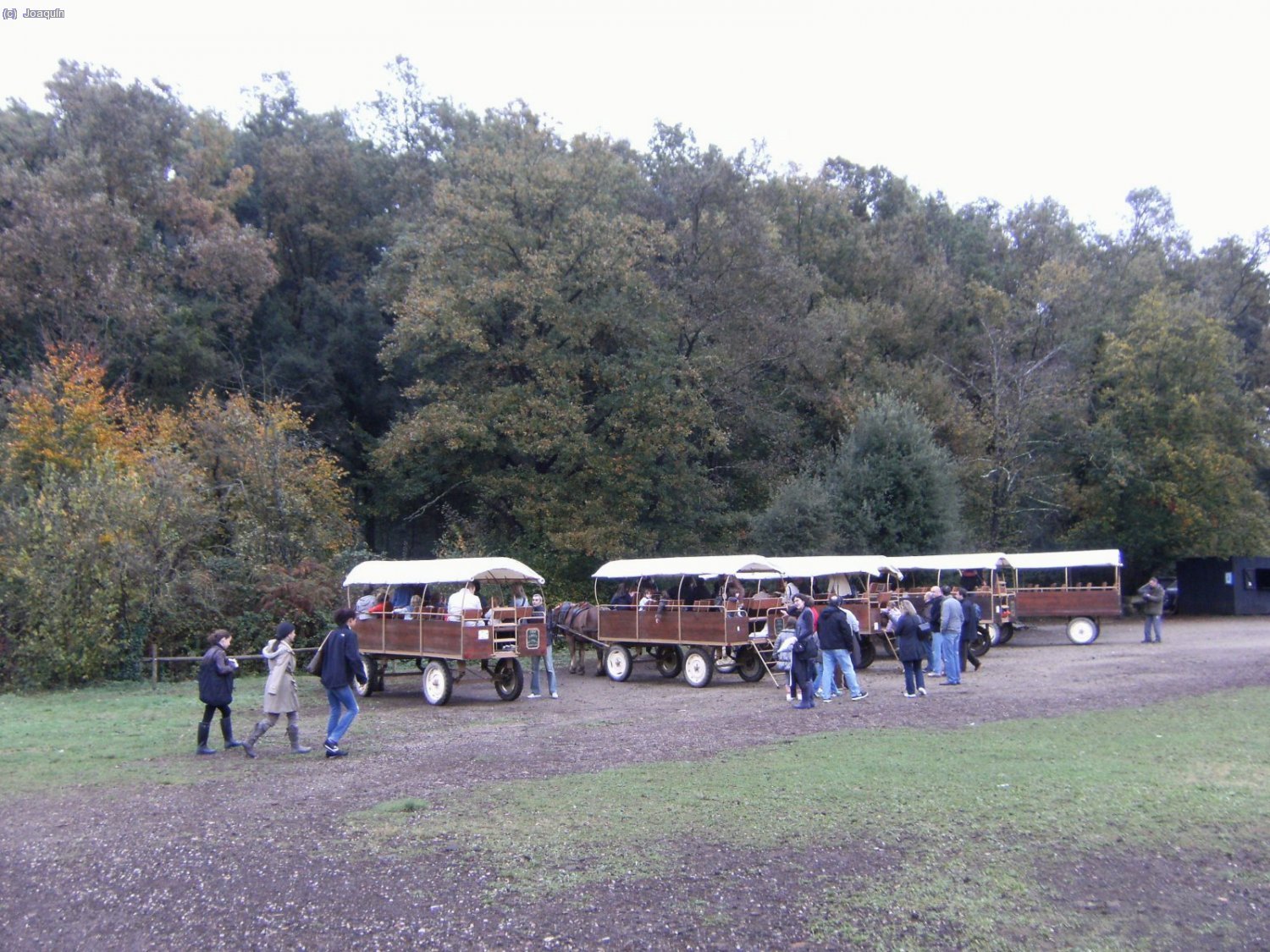 Fageda d