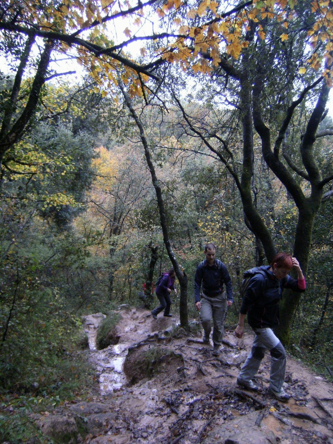 Camino de Sant Miquel de Sacot.