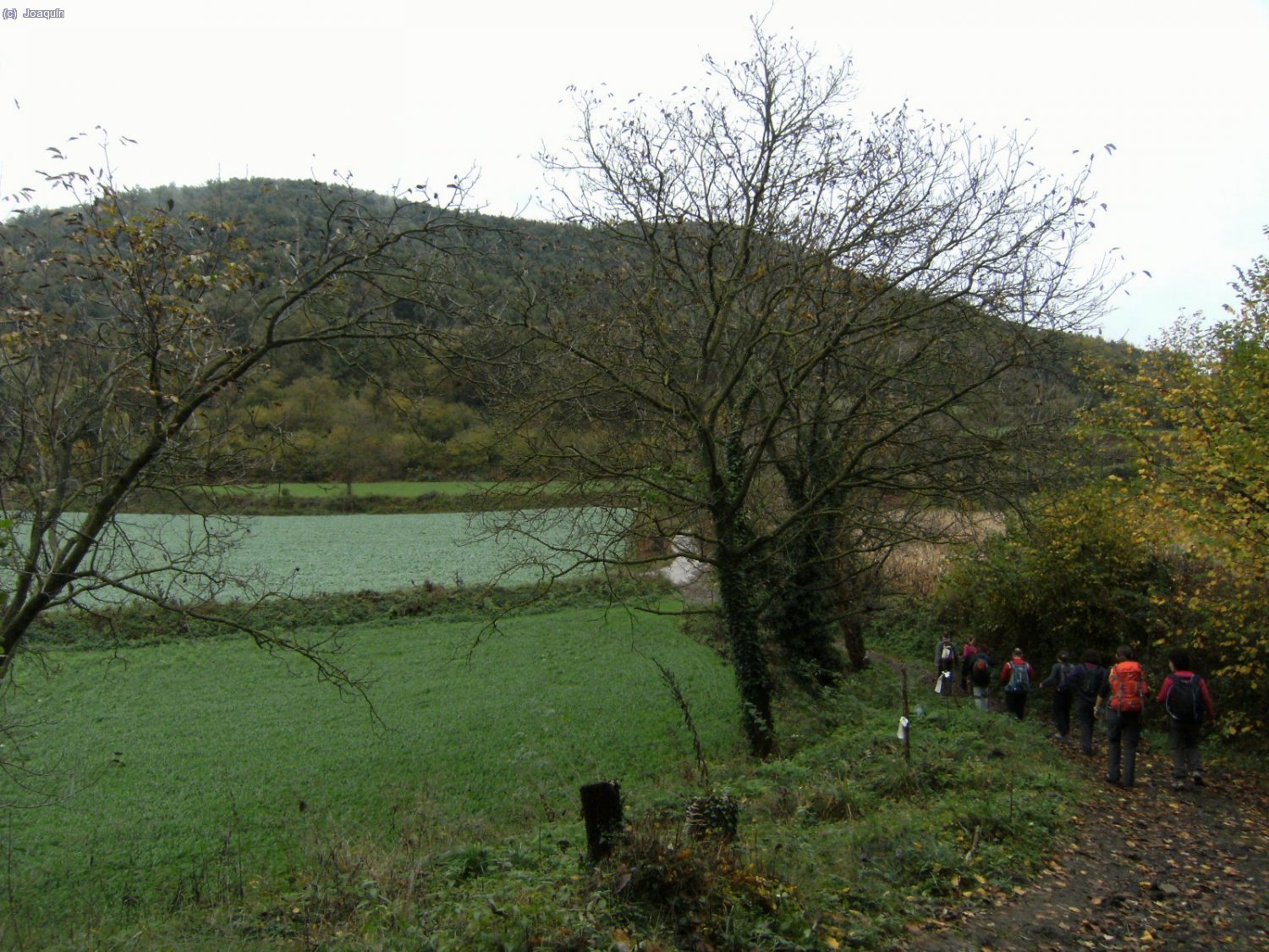 Camino del Volc&aacute;n de Santa Margarida, delante.