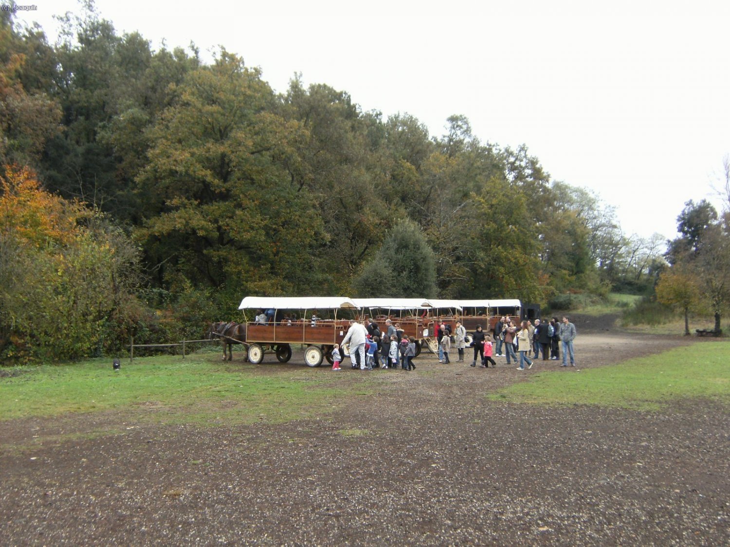 Fageda d