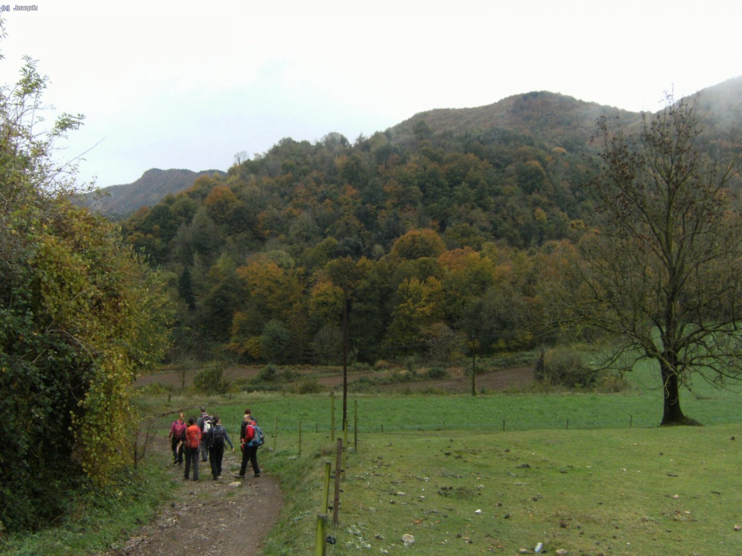 Camino del Volc&aacute;n de Santa Margarida.