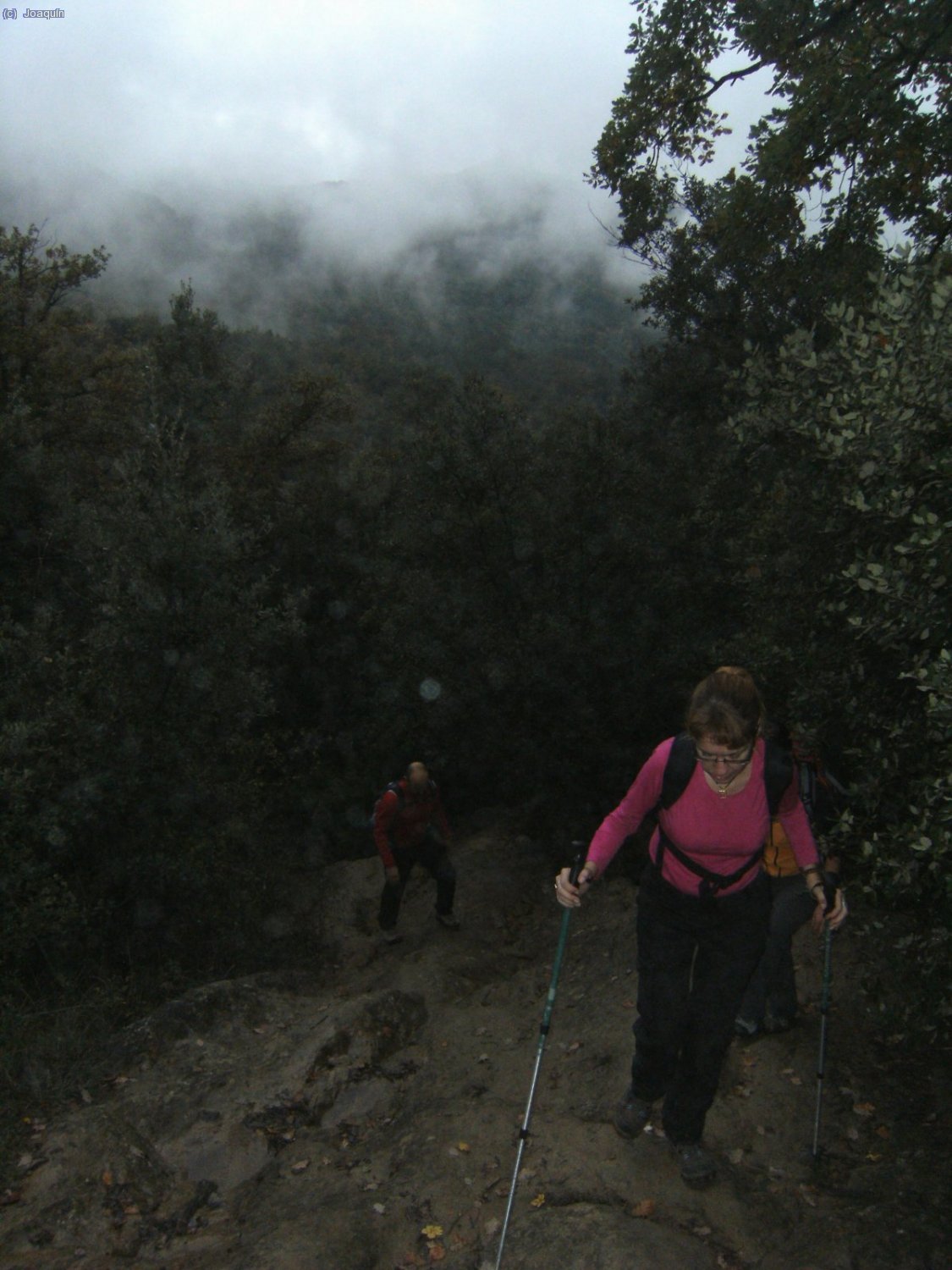 Camino de Sant Miquel de Sacot.