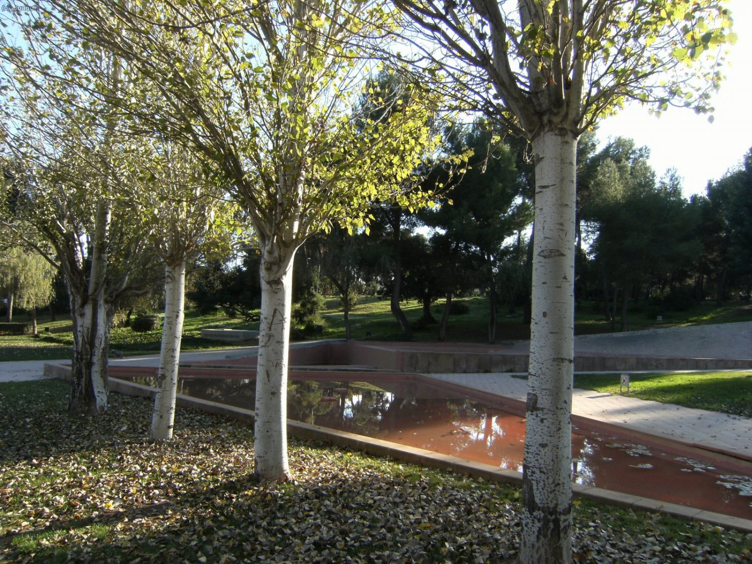 Castelldefels. Parc de la Muntanyeta