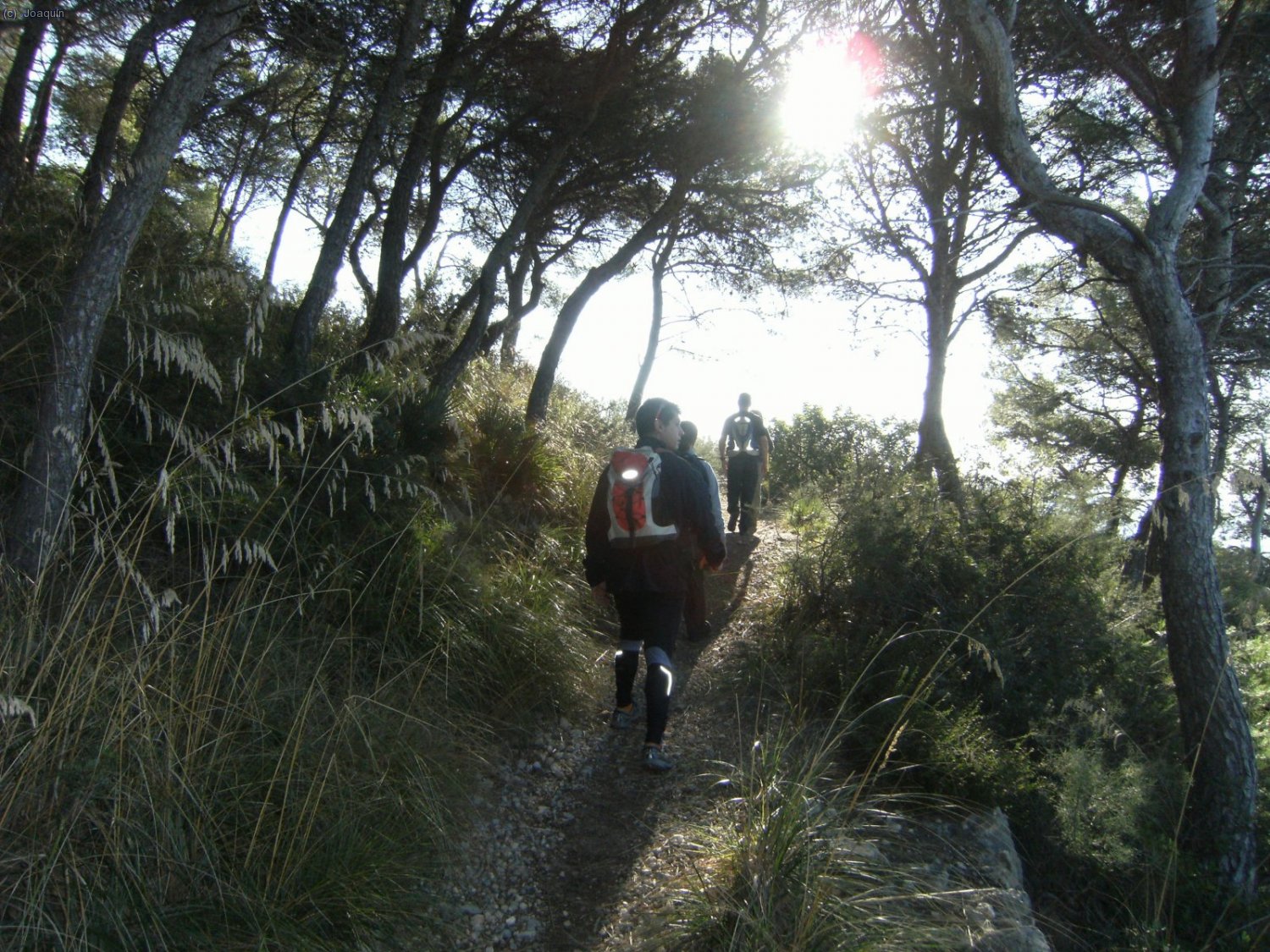 Senda por la Serra dels Pins