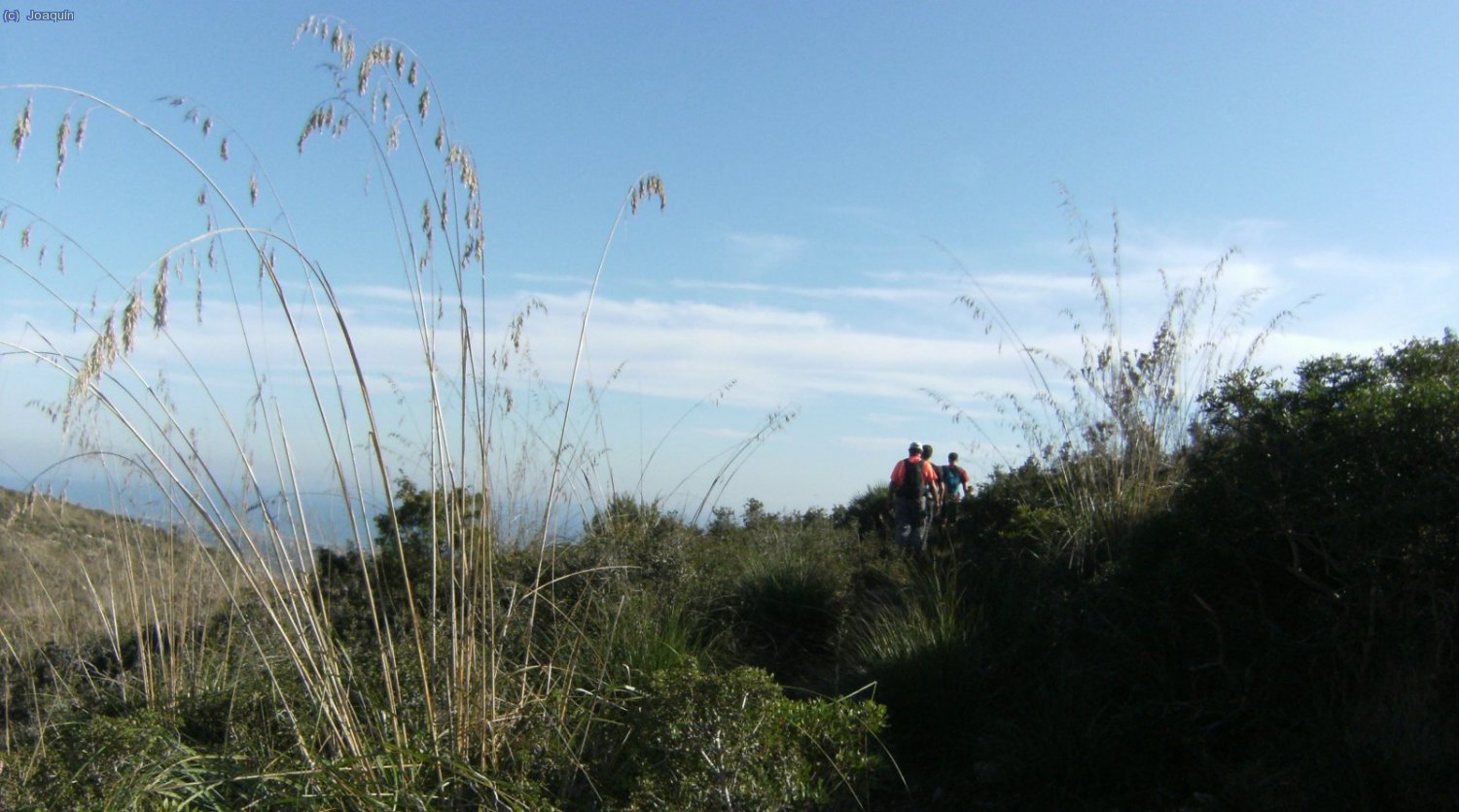 Laderas del Puig de l