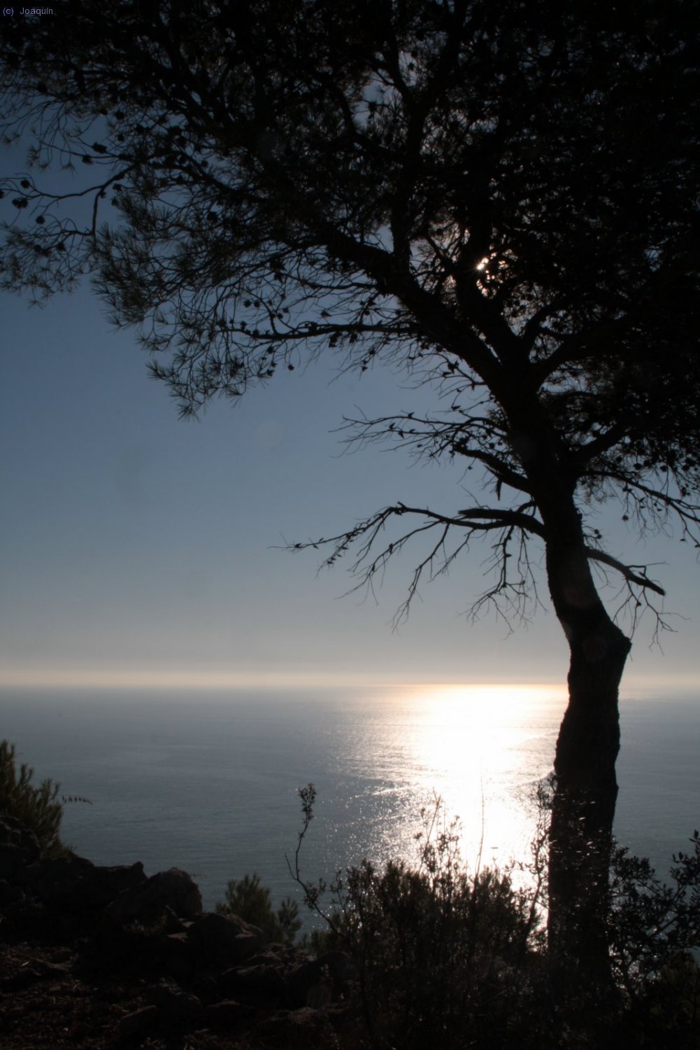 Vistas al mar (foto: Paco Fern&aacute;ndez)