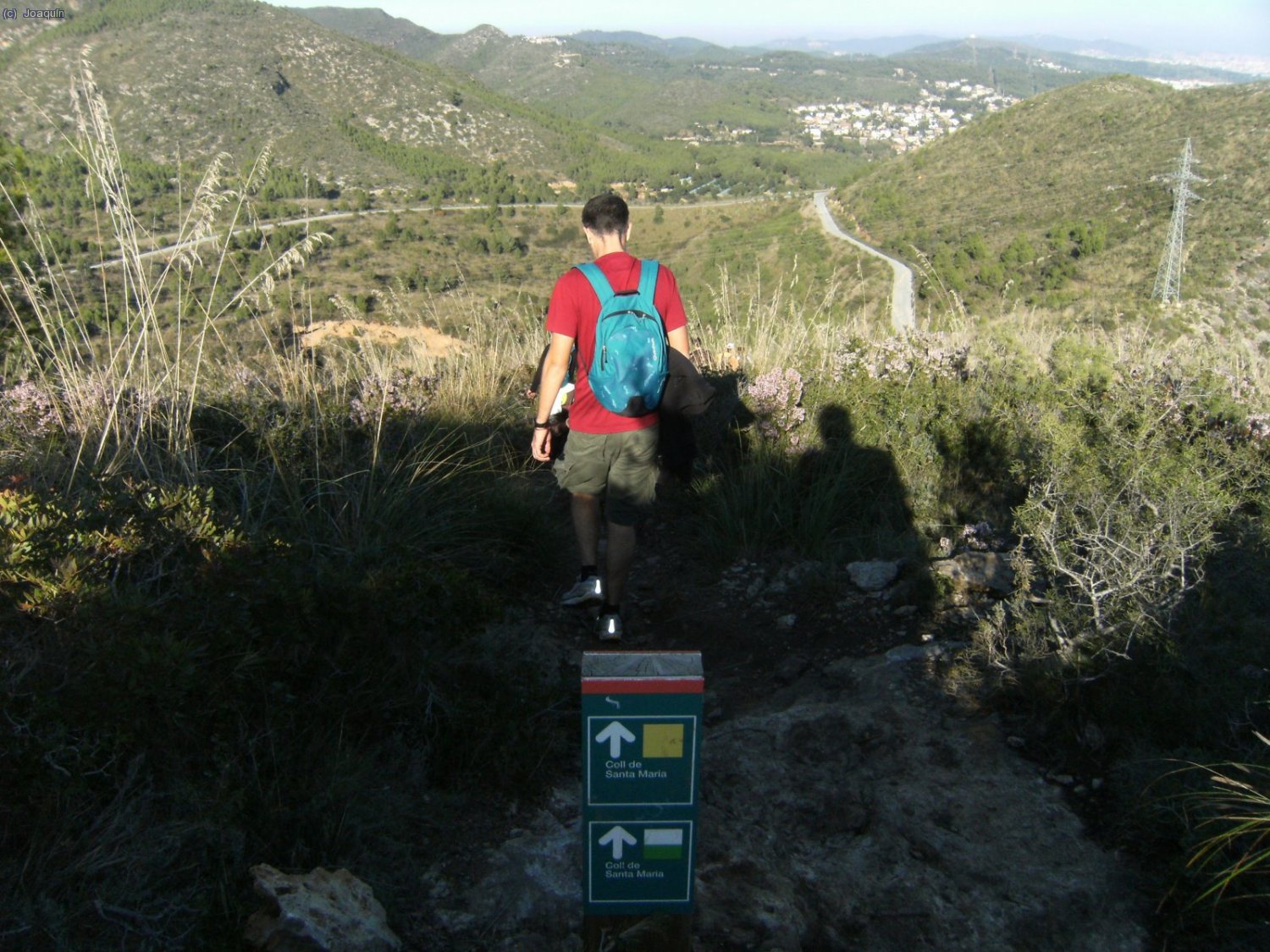 Bajando al Coll de Santa Maria