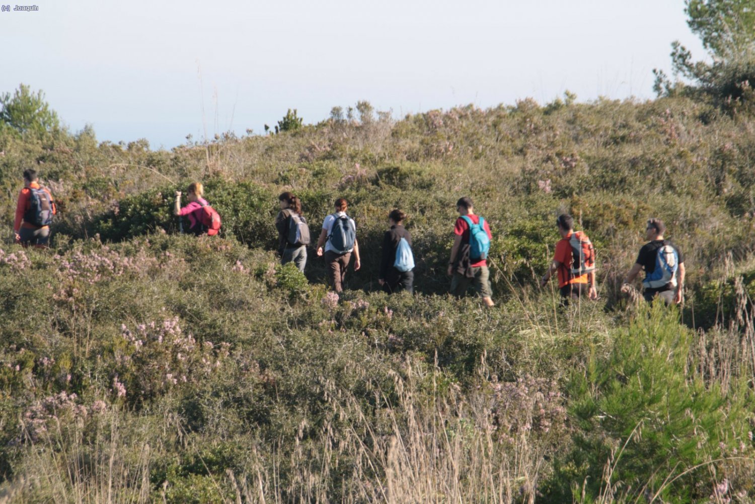 Bordeando el Puig de l